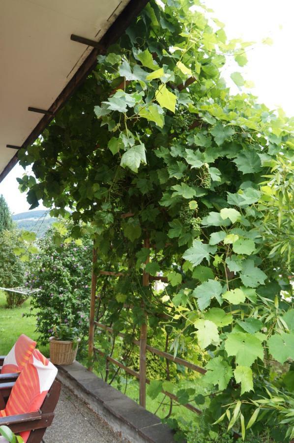 Pension Klimesch Mondsee Esterno foto